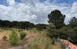 Setúbal, Setubal