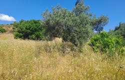 ALCOUTIM, Algarve