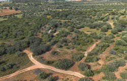 Zibreira, Santarém District