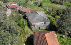 Campanhó e Paradança, Vila Real 4880