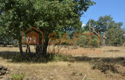 Casal de Cinza, Guarda District
