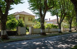Anadia, Aveiro District
