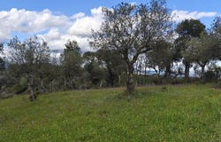 Castelo Branco, Castelo Branco District