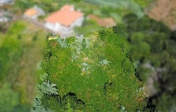Sao Jorge, Madeira 9230