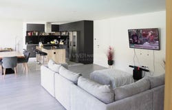 Palmeira, Braga
