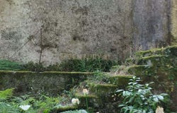 Anais, Viana do Castelo District
