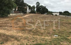 Pinhal Novo, Setúbal 2955