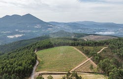 Braga, Braga