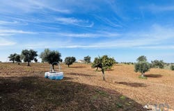 Ferreira do Alentejo e Canhestros, Beja 7900