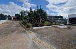 Silves, Faro 8365-091
