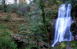 cimo da aldeia, Salamonde, Braga 4850-369