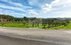 Caldas da Rainha, Leiria District