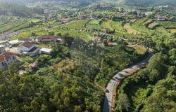 Braga, Braga 4890-444