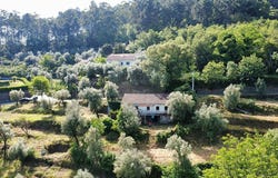 Braga, Braga 4890-444