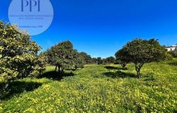 Lagos, Faro 8600-321