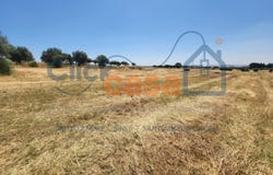 Alvito, Beja District