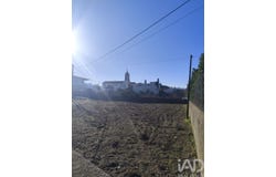 Braga, Braga