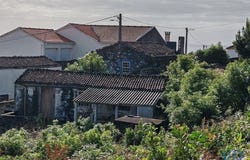 Piedade, Autonomous Region of the Azores 9930