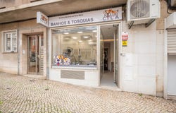 Avenidas Novas, Lisbon