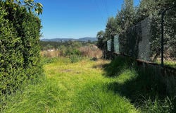Calvaria de Cima, Leiria District