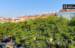 lisbon, Lisbon 2675-367