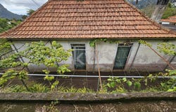 Faial, Madeira 9230