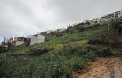 Ilha da Madeira, Madeira