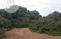 Vila do Bispo, Faro 8650-000