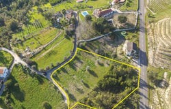Serpins, Aveiro District