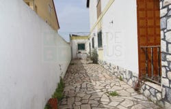 São Francisco, Setúbal 2890