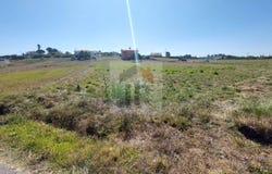 Caldas da Rainha, Leiria District