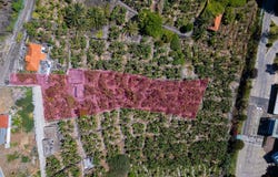 São Martinho, Madeira 9000