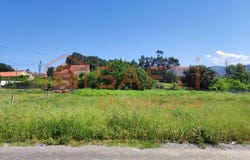 Pico de Regalados, Braga