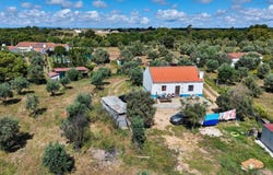 Abela, Setubal