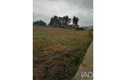 Vila Real, Vila Real District