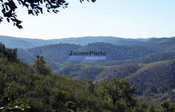 Almodôvar e Graça dos Padrões, Beja 7700