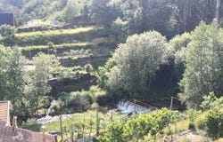 Braga, Braga