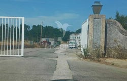 Palmela, Palmela, Setubal