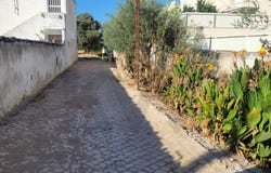 Tunes, Algarve