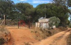 Boliqueime, Algarve