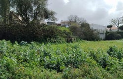 Maiorga, Leiria District