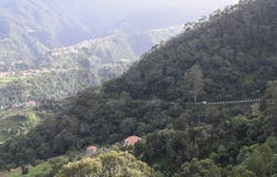Faial, Madeira 9230