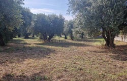 Redinha, Leiria District