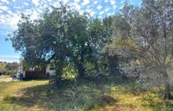 Castro Marim, Algarve