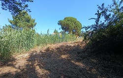 Tornada e Salir do Porto, Leiria District