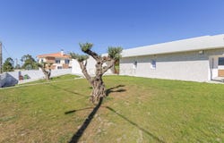 Fernão Ferro, Setubal