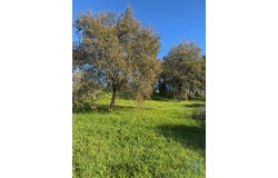 Leiria, Leiria District