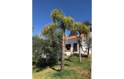 União das Freguesias de Setúbal, Setubal