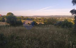 São Pedro De Tomar, Santarém 2300