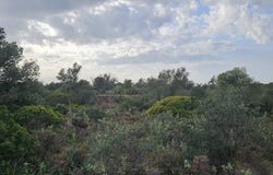Tavira (Santiago), Algarve 8800